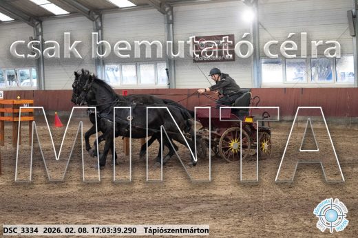 Mintakép 20260208-1230