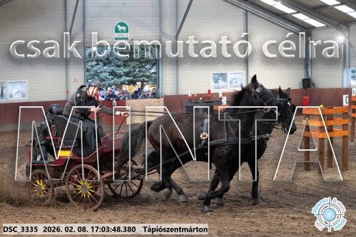 Mintakép 20260208-1231