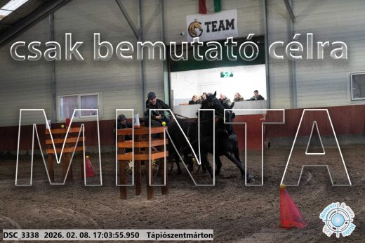 Mintakép 20260208-1234