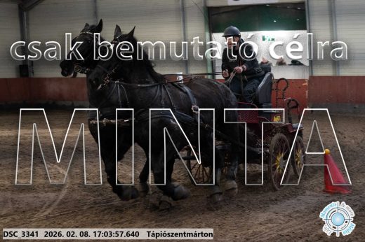 Mintakép 20260208-1237