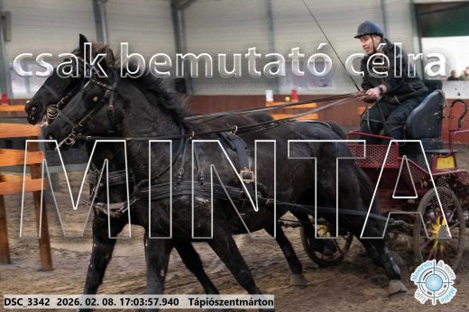 Mintakép 20260208-1238