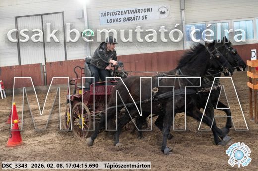 Mintakép 20260208-1239