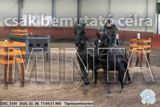 Mintakép 20260208-1241