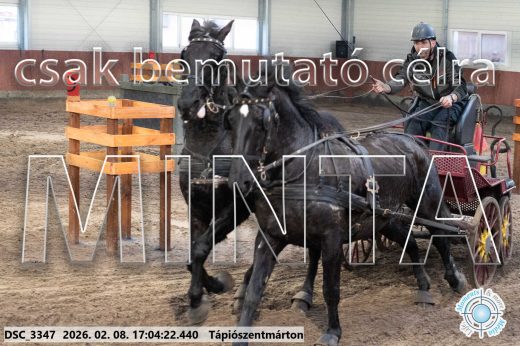 Mintakép 20260208-1243
