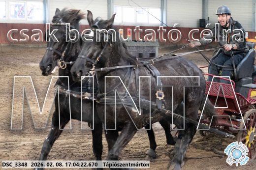Mintakép 20260208-1244