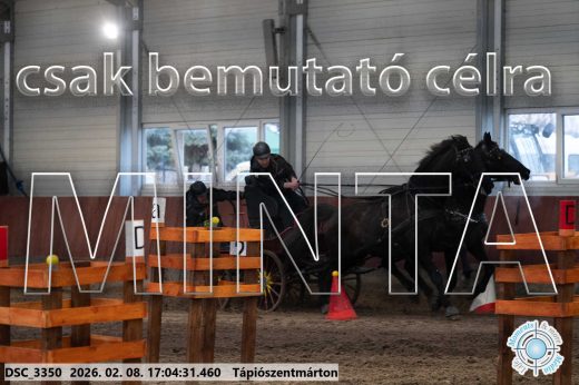 Mintakép 20260208-1246