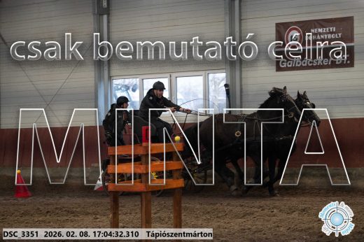 Mintakép 20260208-1247