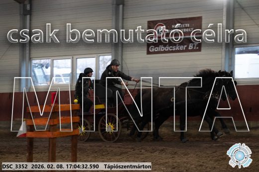 Mintakép 20260208-1248