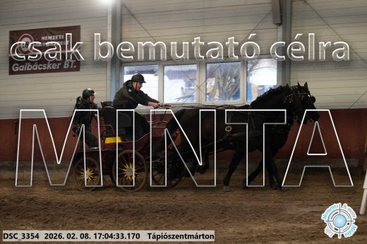Mintakép 20260208-1250