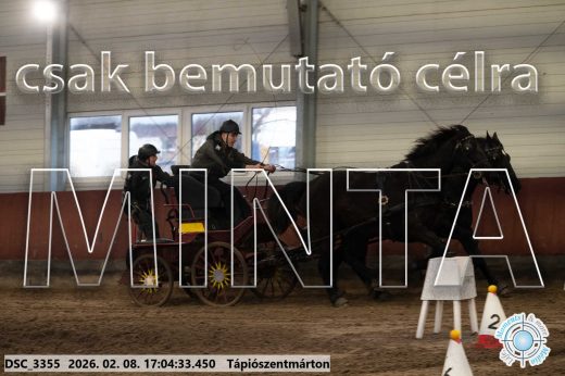 Mintakép 20260208-1251