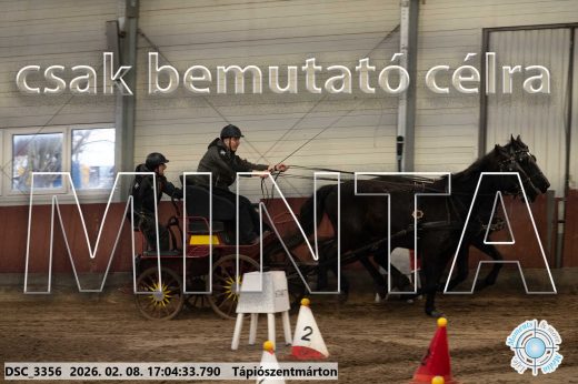 Mintakép 20260208-1252