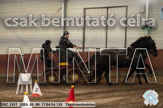 Mintakép 20260208-1253