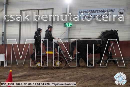 Mintakép 20260208-1254