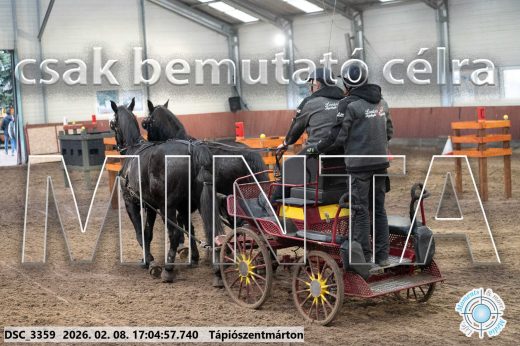Mintakép 20260208-1255