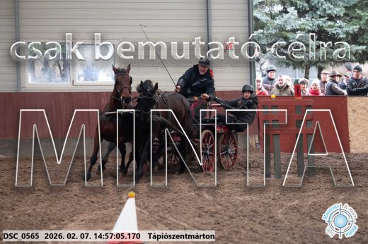 Mintakép 20260207-734