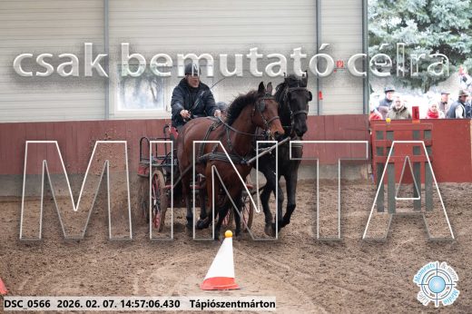 Mintakép 20260207-735