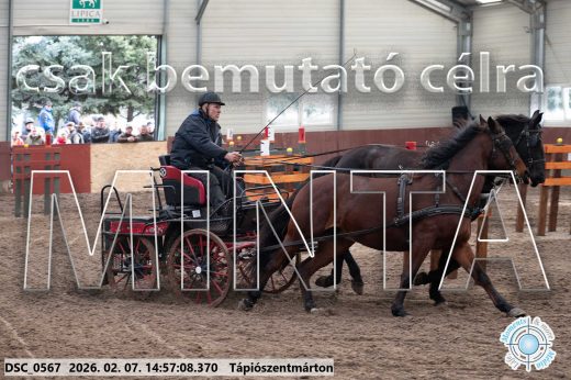 Mintakép 20260207-736