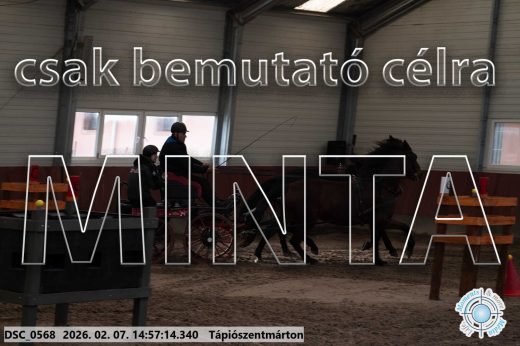 Mintakép 20260207-737