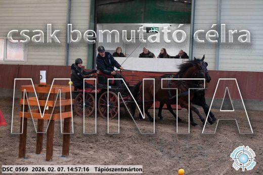 Mintakép 20260207-738