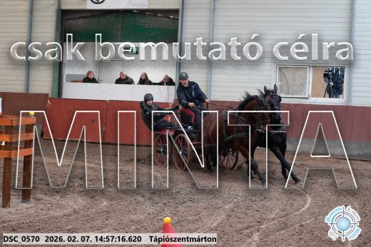 Mintakép 20260207-739