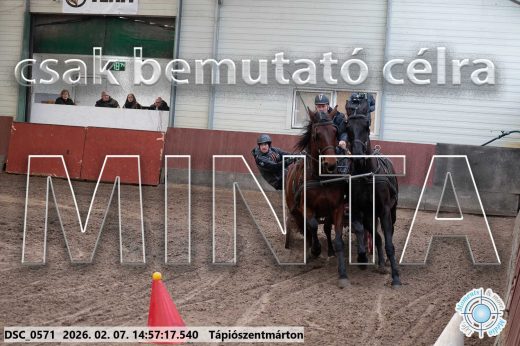 Mintakép 20260207-740