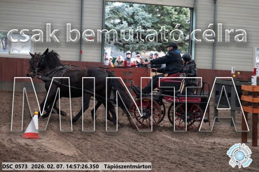 Mintakép 20260207-742