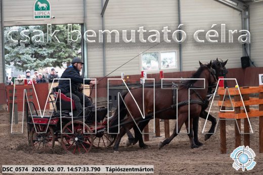 Mintakép 20260207-743