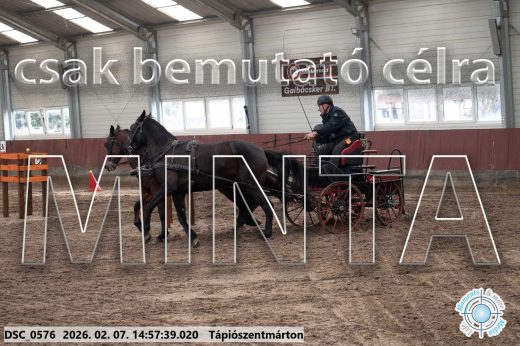 Mintakép 20260207-744