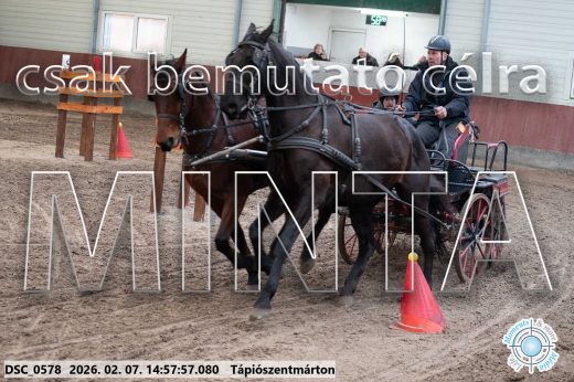 Mintakép 20260207-746