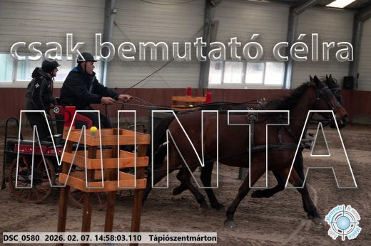 Mintakép 20260207-747