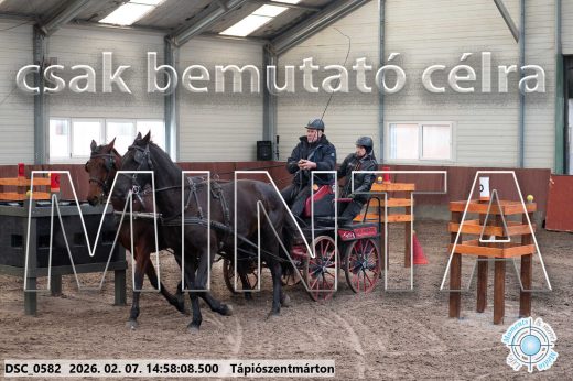 Mintakép 20260207-749