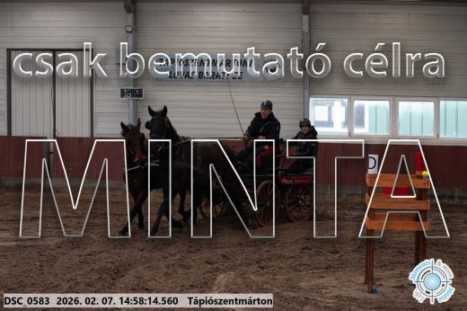 Mintakép 20260207-750
