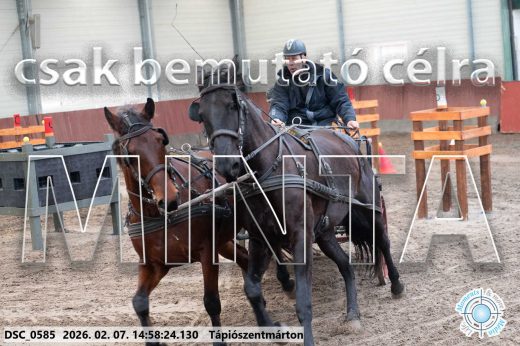 Mintakép 20260207-752
