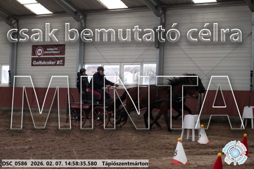 Mintakép 20260207-753