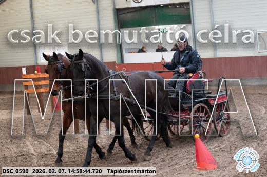 Mintakép 20260207-757