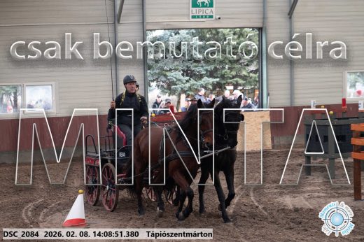 Mintakép 20260208-1256