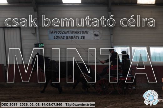 Mintakép 20260208-1261