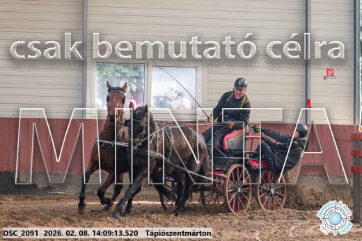 Mintakép 20260208-1263