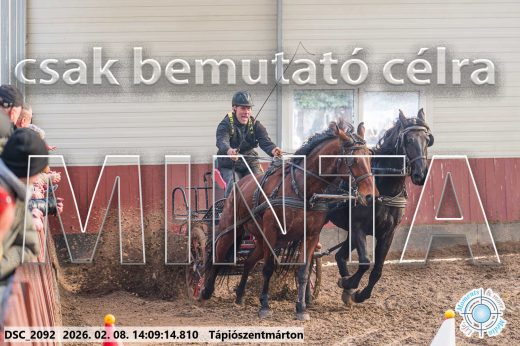 Mintakép 20260208-1264