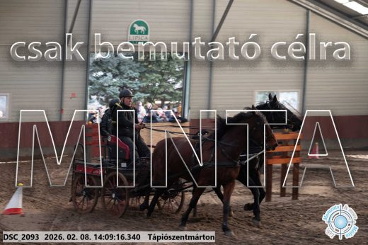 Mintakép 20260208-1265