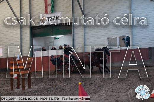 Mintakép 20260208-1266