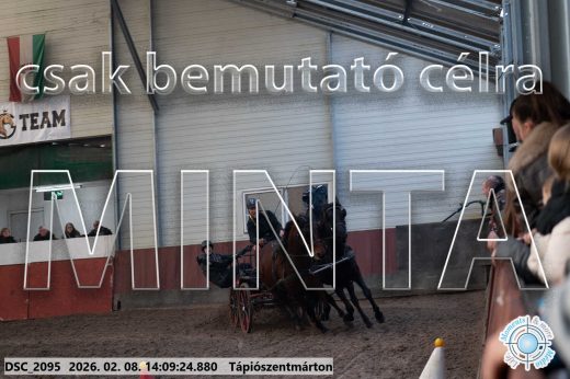 Mintakép 20260208-1267