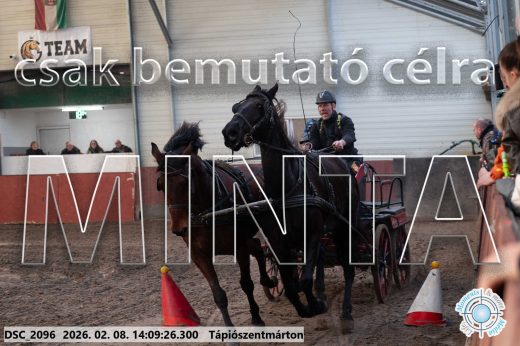 Mintakép 20260208-1268
