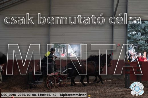 Mintakép 20260208-1270