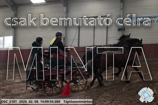 Mintakép 20260208-1273