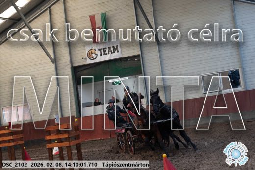 Mintakép 20260208-1274