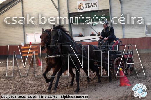 Mintakép 20260208-1275