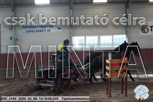 Mintakép 20260208-1276