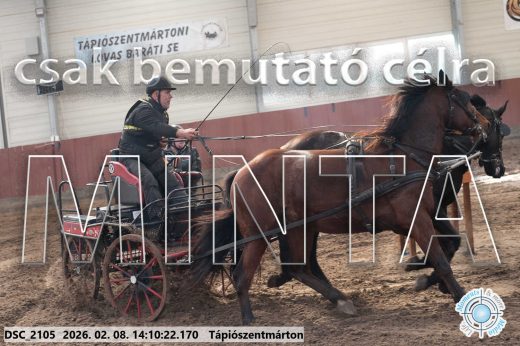 Mintakép 20260208-1277