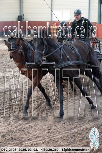Mintakép 20260208-1280